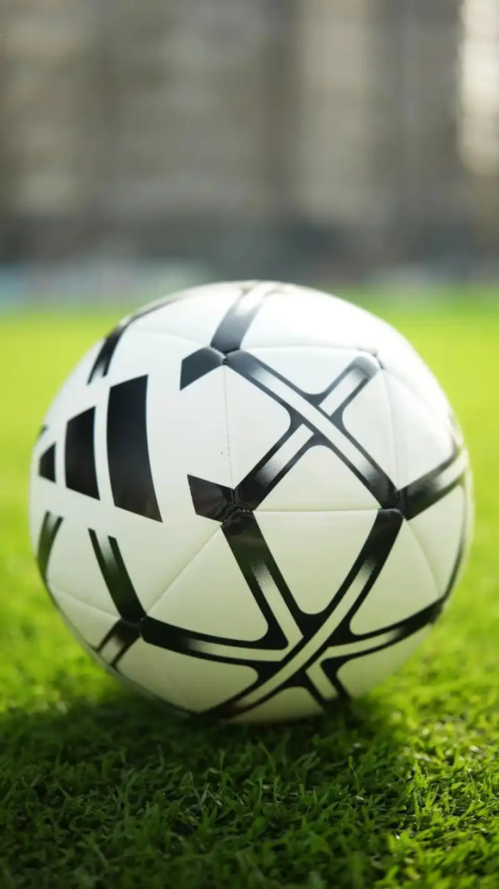 竞猜爱好者参考专业预测